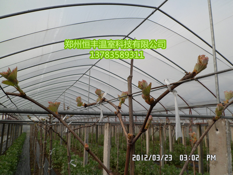 䓽Y(ji)(gu)ѴǼ